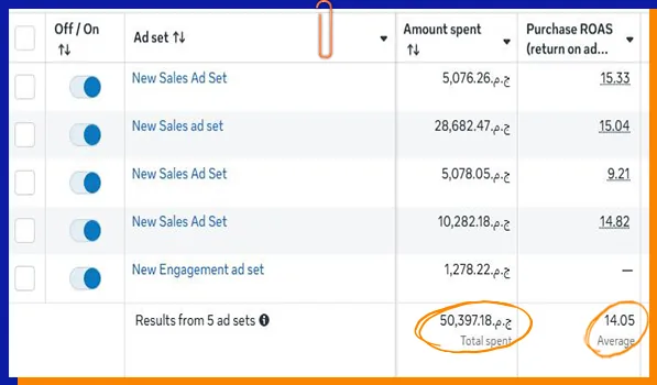 Ad account results for the Luxury Bags Brand campaign