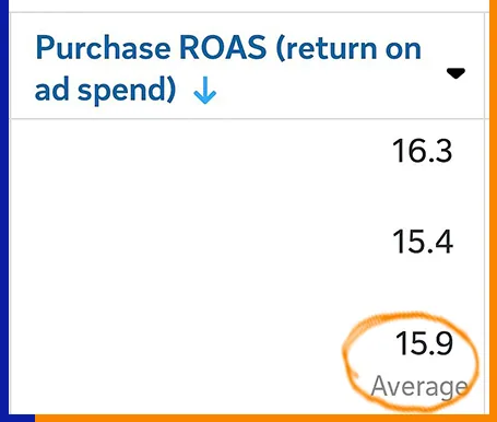 Ad account results for the Cosmetics Brand campaign