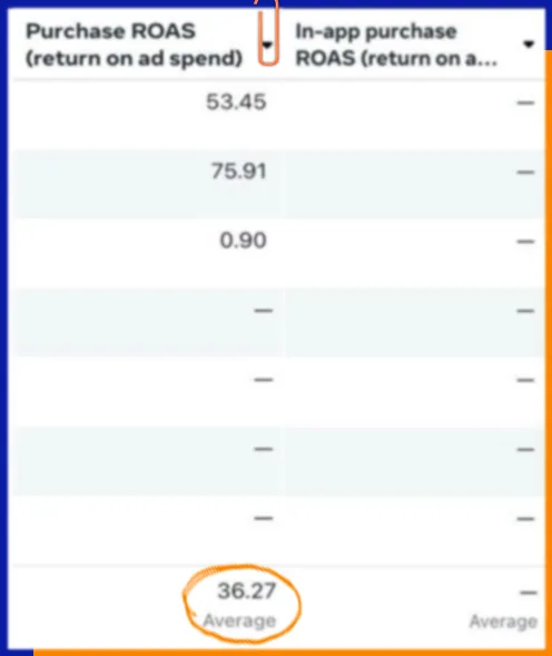 Ad account results for the Modest Fashion Brand campaign