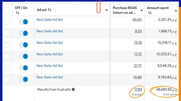 Ad account results for the Silicone Food-Storage Brand campaign